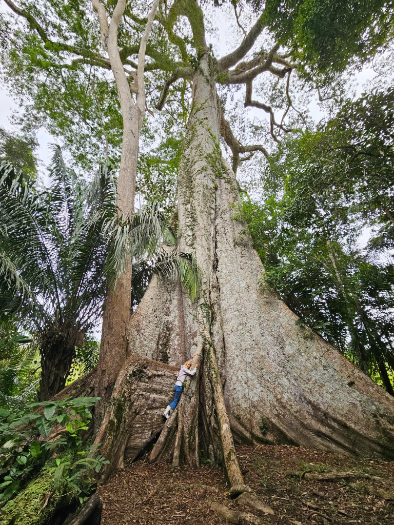  Explore the Peruvian Amazon jungle, Puerto Maldonado